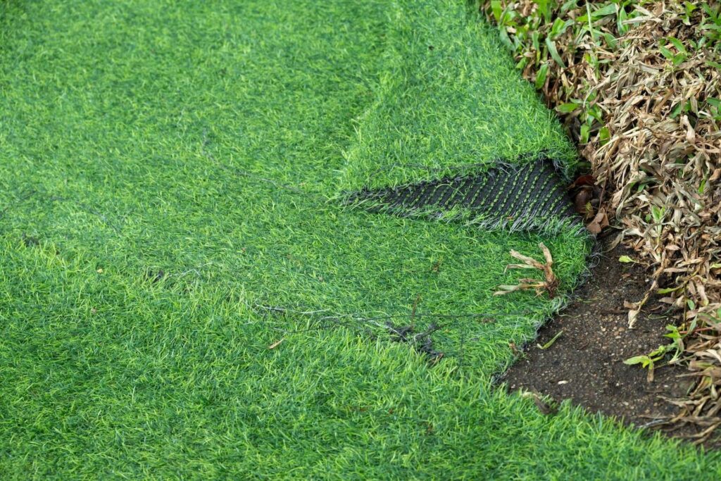 Artificial Grass