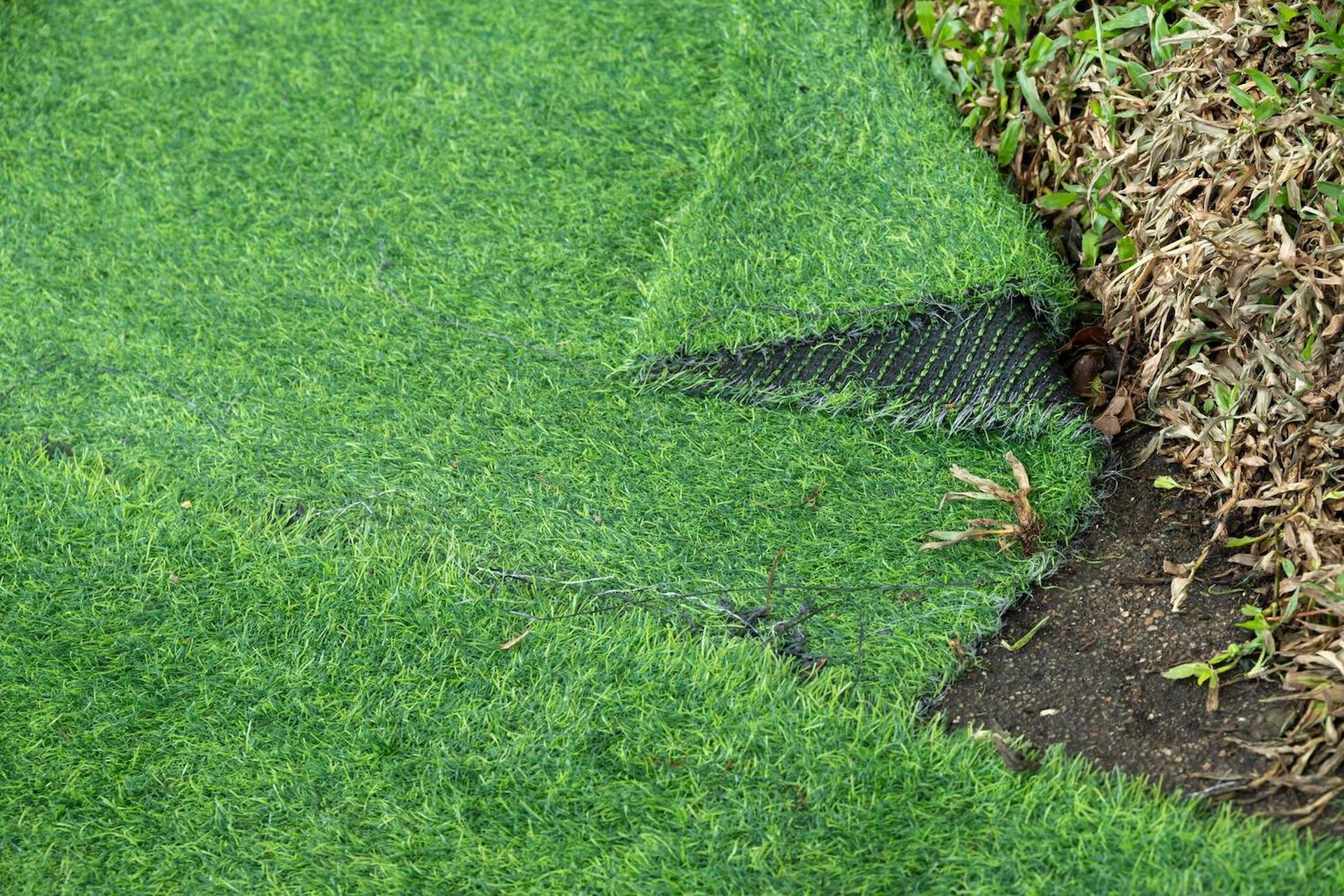 Artificial Grass