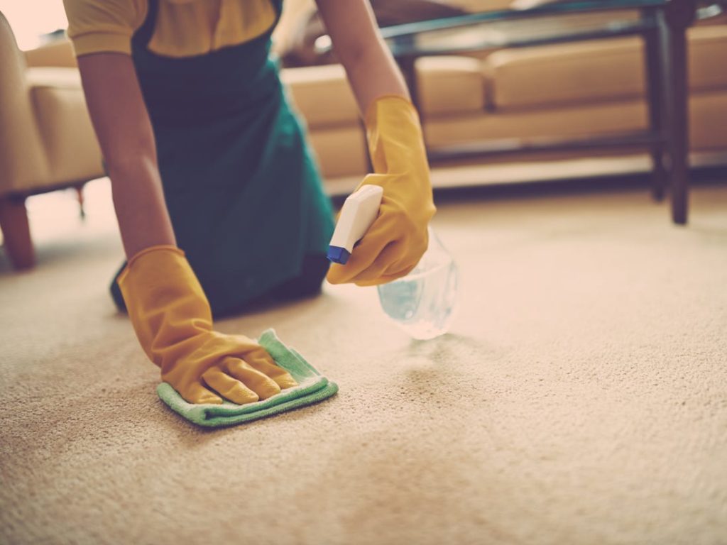 Reasons To Choose Professional Carpet Cleaning Experts