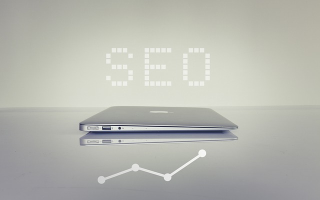 Why Professional SEO Services UK Are Important?